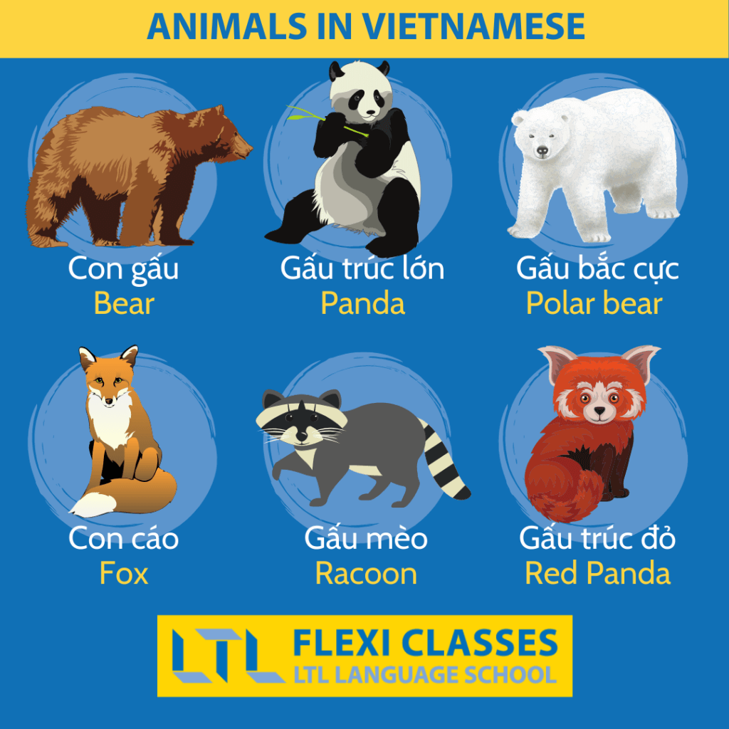 Animals in Vietnamese