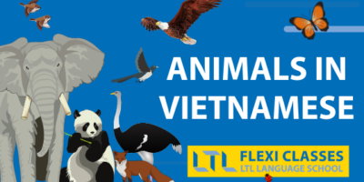 170+ Animals in Vietnamese 🦁 The Ultimate Animal Guide
