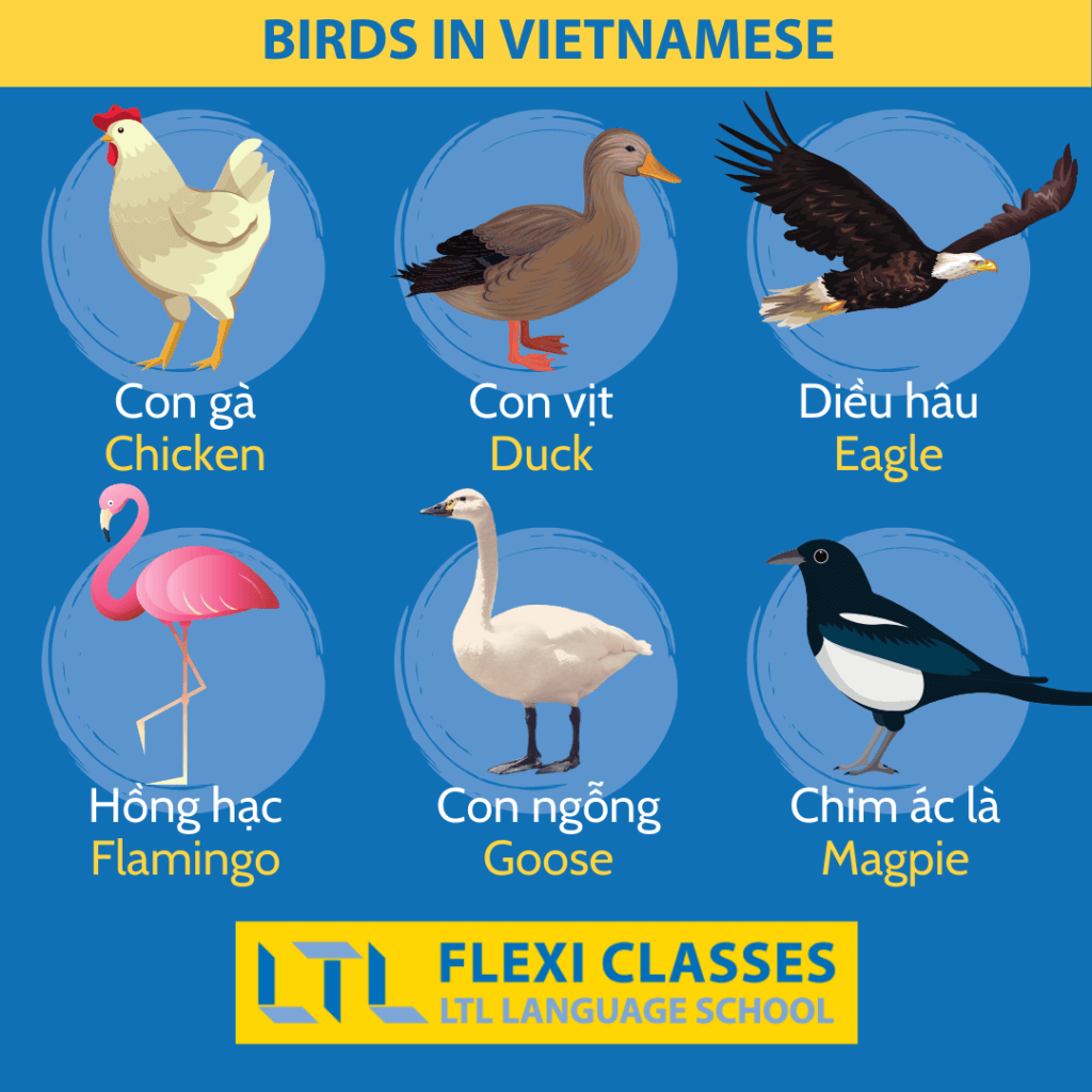 Birds in Vietnamese