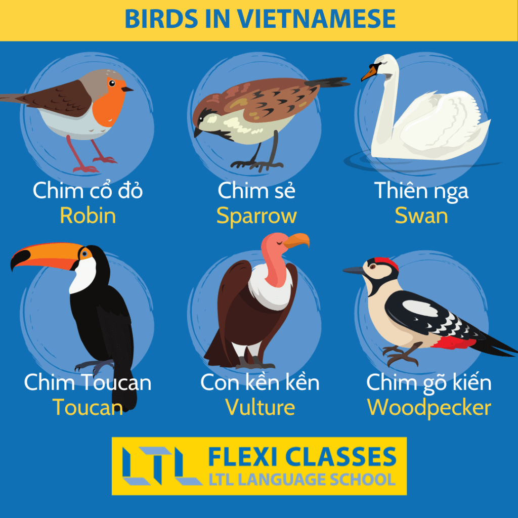 Birds in Vietnamese