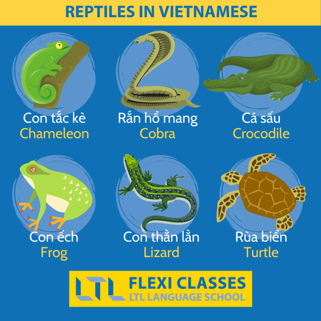 Reptiles in Vietnamese