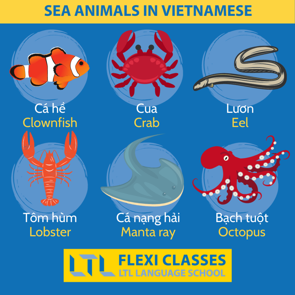 Sea Animals in Vietnamese