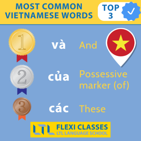vietnamese words starting with t
