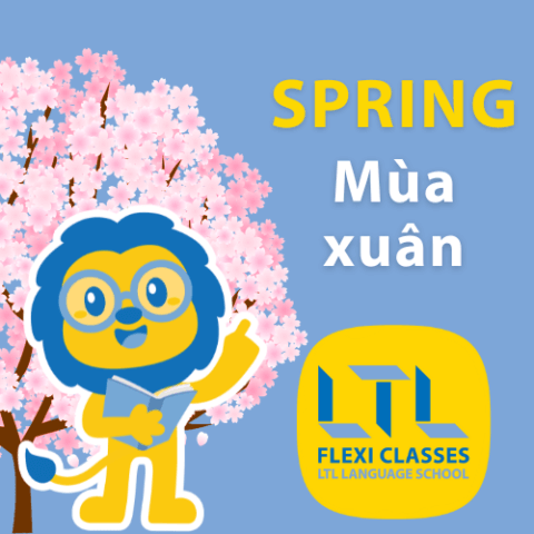 A Beginner’s Guide to Weather in Vietnam | By Seasons & Cities