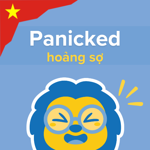 Feelings in Vietnamese