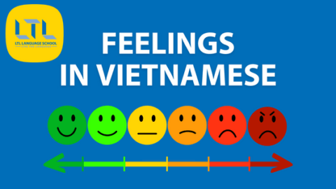 Unlock 43 Words About Feelings in Vietnamese Thumbnail