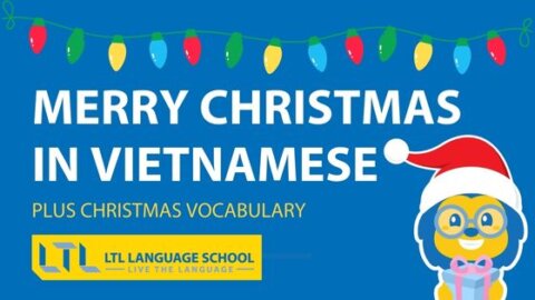 Merry Christmas in Vietnamese🎄Essential Festive Vocab & Phrases Thumbnail