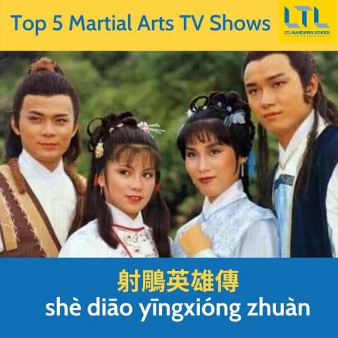 Martial Arts TV Shows to learn Cantonese