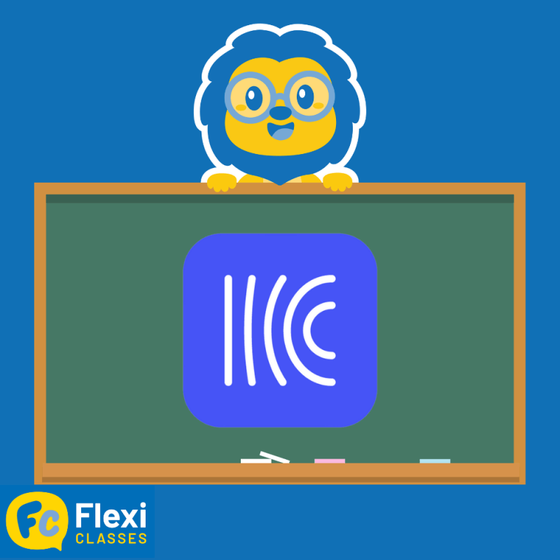 Hack Chinese App Review