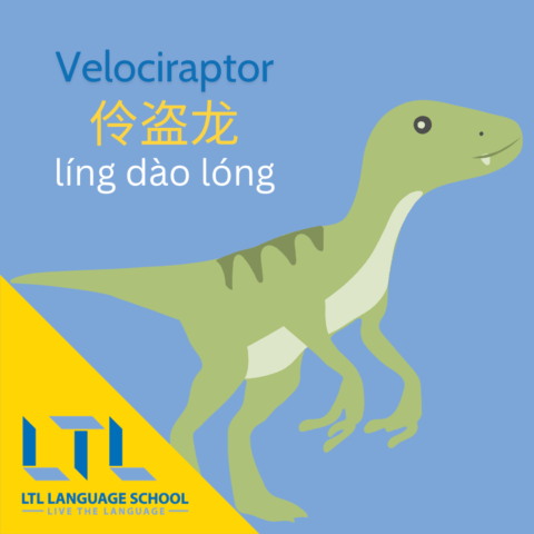 19 Fascinating Dinosaurs in Chinese | Names & Translations