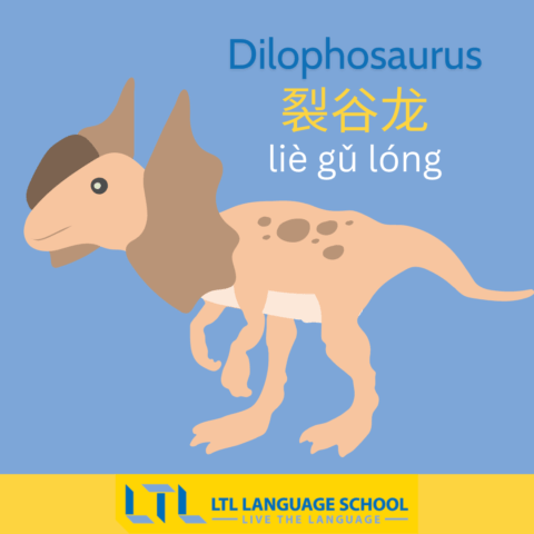 19 Fascinating Dinosaurs in Chinese | Names & Translations