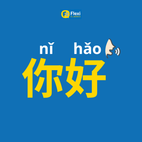 Example showing the Chinese greeting written as characters ni hao and in Pinyin romanization nǐ hǎo with tone marks, both representing the same spoken sounds