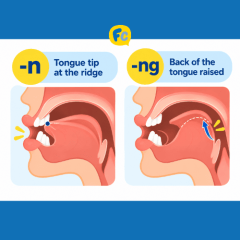 Side-view diagram comparing the tongue for Mandarin -n, with the tip at the ridge behind the upper teeth, and -ng, with the back of the tongue raised
