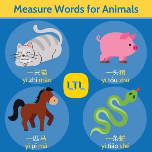 Chinese measure words - animals