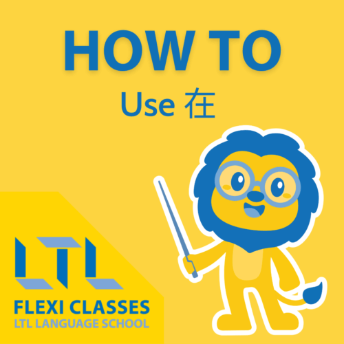 How to use 在
