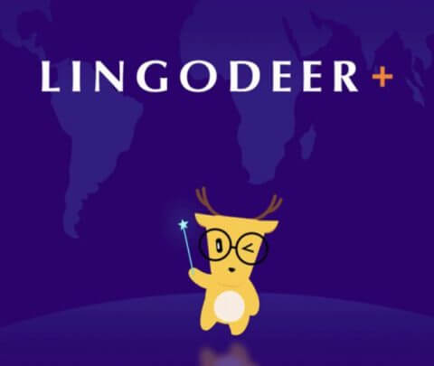 lingo deer review