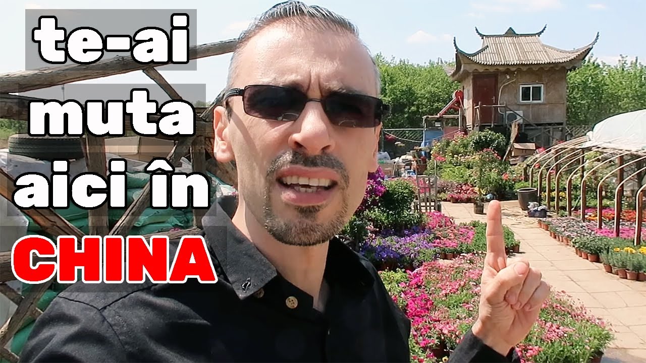 Mihnea - Un român în Beijing - China YouTubers