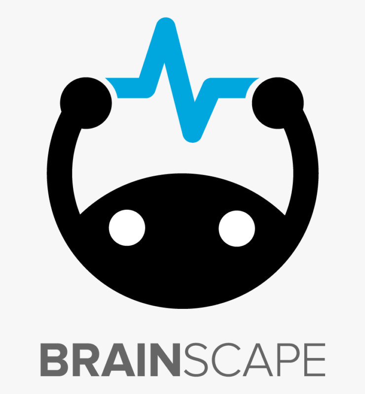 brainscape review